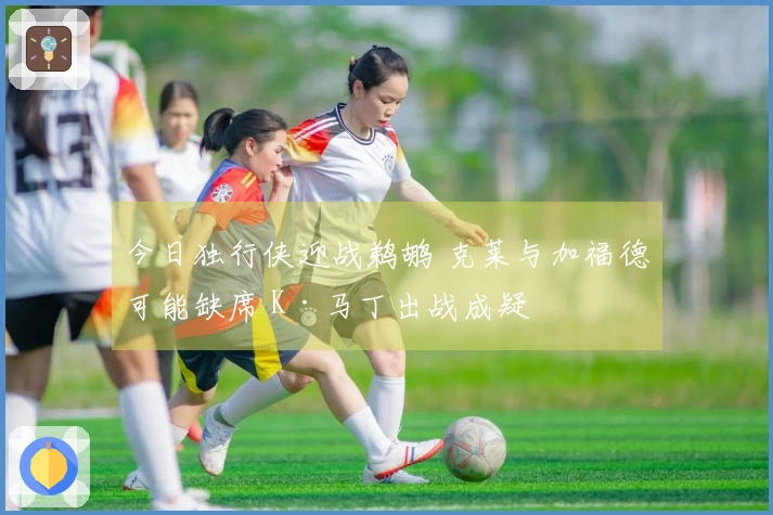 今日独行侠迎战鹈鹕 克莱与加福德可能缺席 K·马丁出战成疑